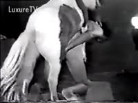 Pony sex with a slut